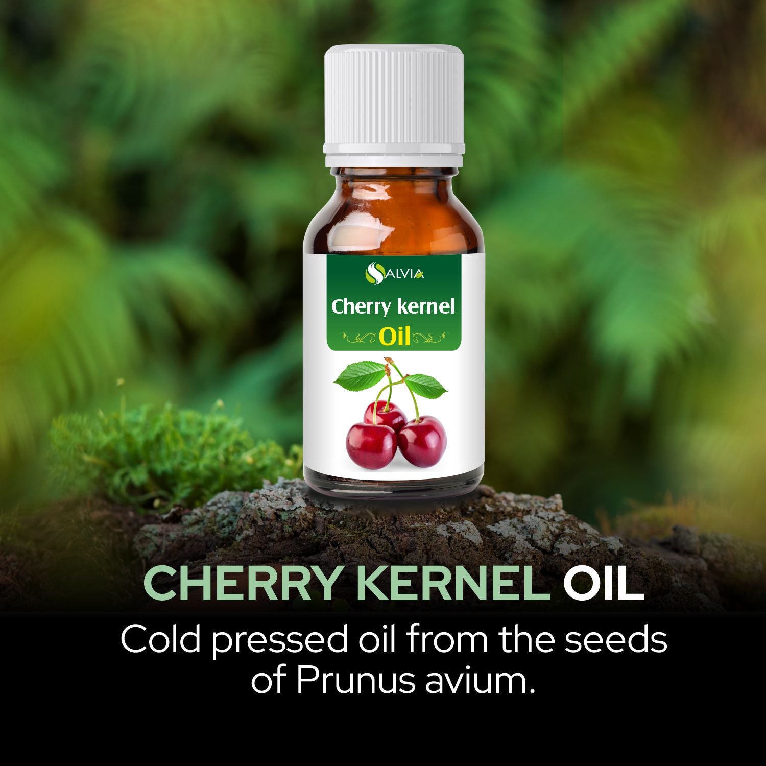 Salvia Natural Essential Oils,Dandruff,Greasy Oil,Anti Fungal,Anti-fungal Oil,Oil for Greasy Hair Cherry Kernel Oil Salvia Natural Essential Oils,Dandruff,Greasy Oil,Anti Fungal,Anti-fungal Oil,Oil for Greasy Hair Cherry Kernel Oil